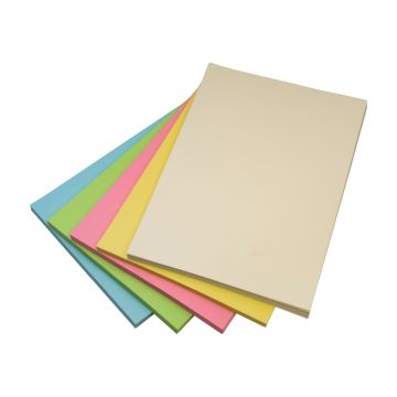 A4 Coloured Copier Paper 80gsm Assorted Pastel Colours Box of 5 Reams