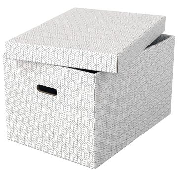 Esselte Storage Boxes Large White Pack 3