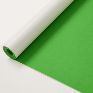 Poster Paper Roll 1218mm x 15m Green