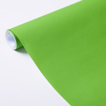 Poster Paper Roll 760mm x 10m Green