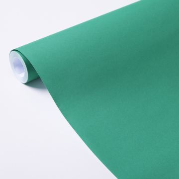 Poster Paper Roll 760mm x 10m Emerald Green