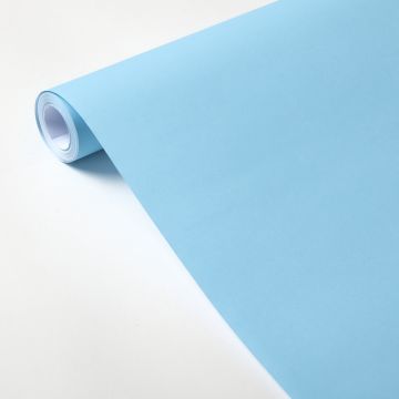 Poster Paper Roll 760mm x 10m Pale Blue
