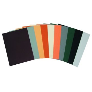 Earth & Stone Card Pack A4 220gsm Assorted Pack 100