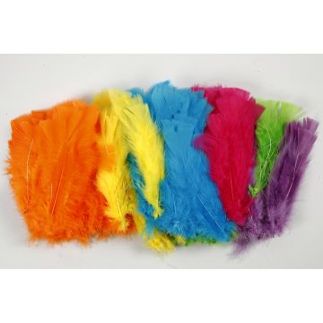 Feathers Bright Spring