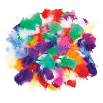 Rainbow Feathers