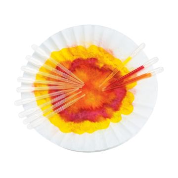 Super-Safe Droppers Pack of 12