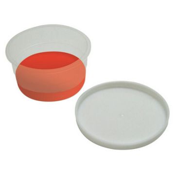 Paint Palette Pots And Lids Clear Pack of 12