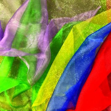 Organza Fabric