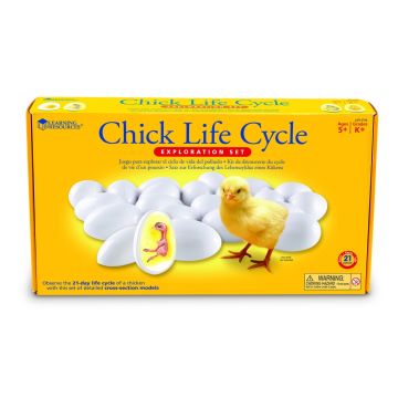 Chick Life Cycle Exploration Set