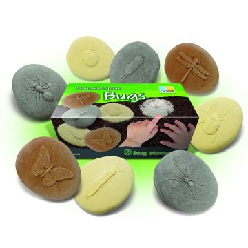 Let's Investigate Bugs Pack of 8