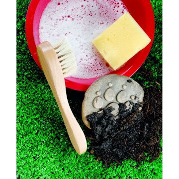 Let's Investigate Farmyard Footprints