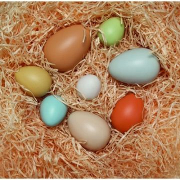 Size Sorting Eggs Pack of 8