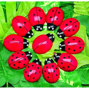 Ladybugs Counting Stones