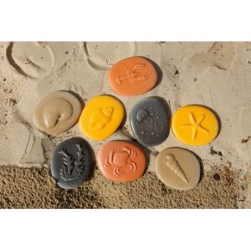 Let's Investigate Seashore Pack of 8