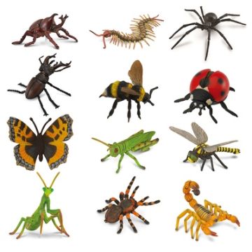 Insect Set