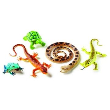 Jumbo Reptiles & Amphibians Pack of 5