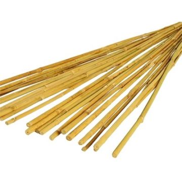 Bamboo Sticks Pack of 20
