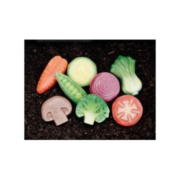 Sensory Play Stones Vegetables Pack of 8