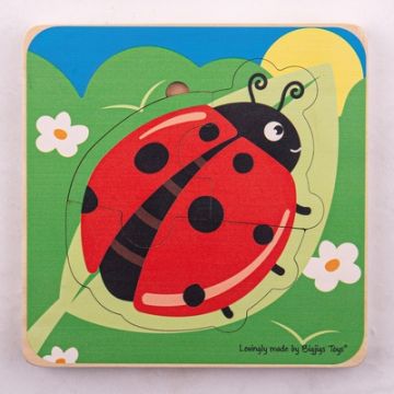 Lifecycle Puzzle Ladybug