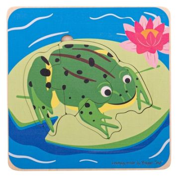 Lifecycle Puzzle Frog