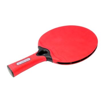 Sure Shot Matthew Syed Outdoor Bat