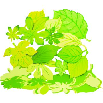 Jumbo Mixed Spring/Summer Leaves Pack of 60