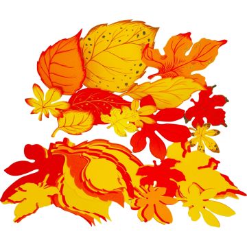 Jumbo Mixed Autumn Leaves Pack of 60