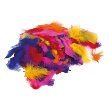 Coloured Feathers Assorted Set
