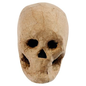 Papier Mache Skull H100mm Natural