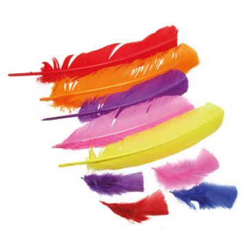 Large Feathers Assorted Pack