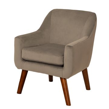 Wild Wood Children's Velvet Chair Mink