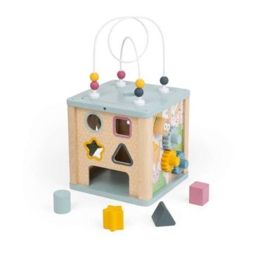 Early Learning Wooden Activity Cube