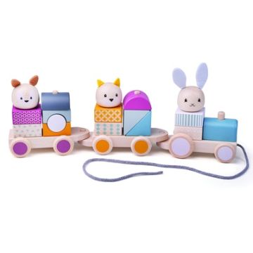 100% FSC Activity Pull Along Train