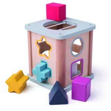 100% FSC Shape Sorter