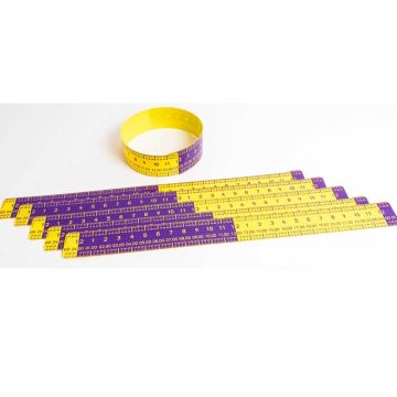 Pupils Elapsed Time Ruler Pack of 6