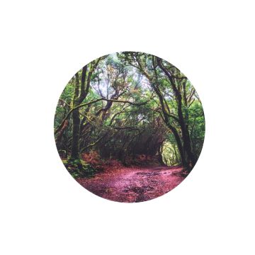 Forest Discovery Play Mat