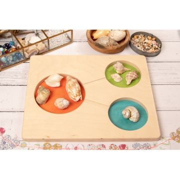 Part Part Whole Tray