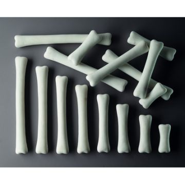 Activity Cards  Match And Measure Bones Pack of 16