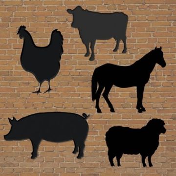 Farmyard Animals Chalkboards