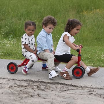 Winther Mini Viking Pushbike For Three