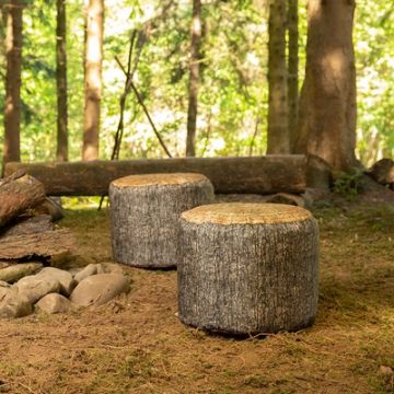 Large Tree Stumps
