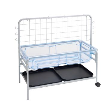 Water Tray with Activity Rack