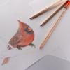 Category Paper & Board image